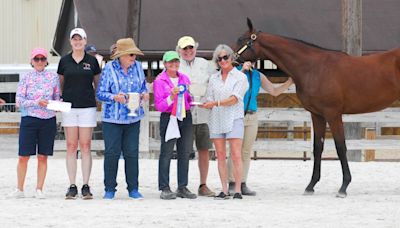 Dark Hollow Farm, Hillwood Stable's The Factor Colt Wins 90th Annual Maryland Yearling Show