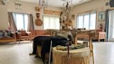 Indigenous healing lodges face chronic underfunding in Canada, critics say