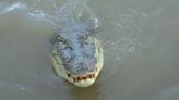 Crocodile shot dead after killing girl, 12, in Australia