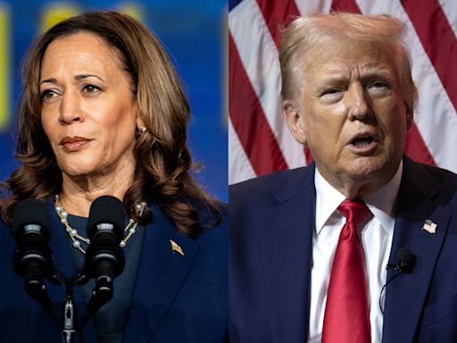 Trump’s Racist Attacks on Kamala Harris Are Part of a Larger, Unhinged Plan