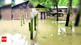 Brahmaputra and Tributaries Water Levels Above Danger Level Causing Devastating Floods in Assam | Guwahati News - Times of India