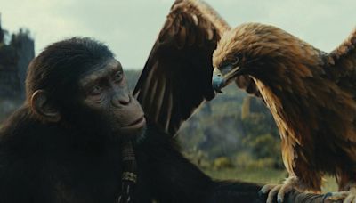 On the Screen: New ‘Planet of the Apes’ expands, brings new ideas to franchise universe | Peninsula Clarion
