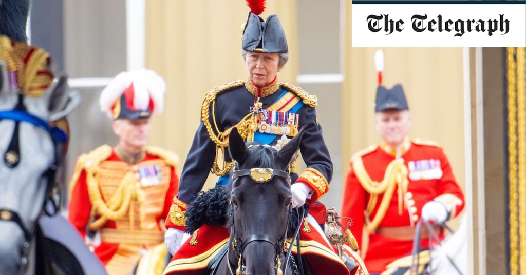 Princess Anne makes first public statement since horse riding accident