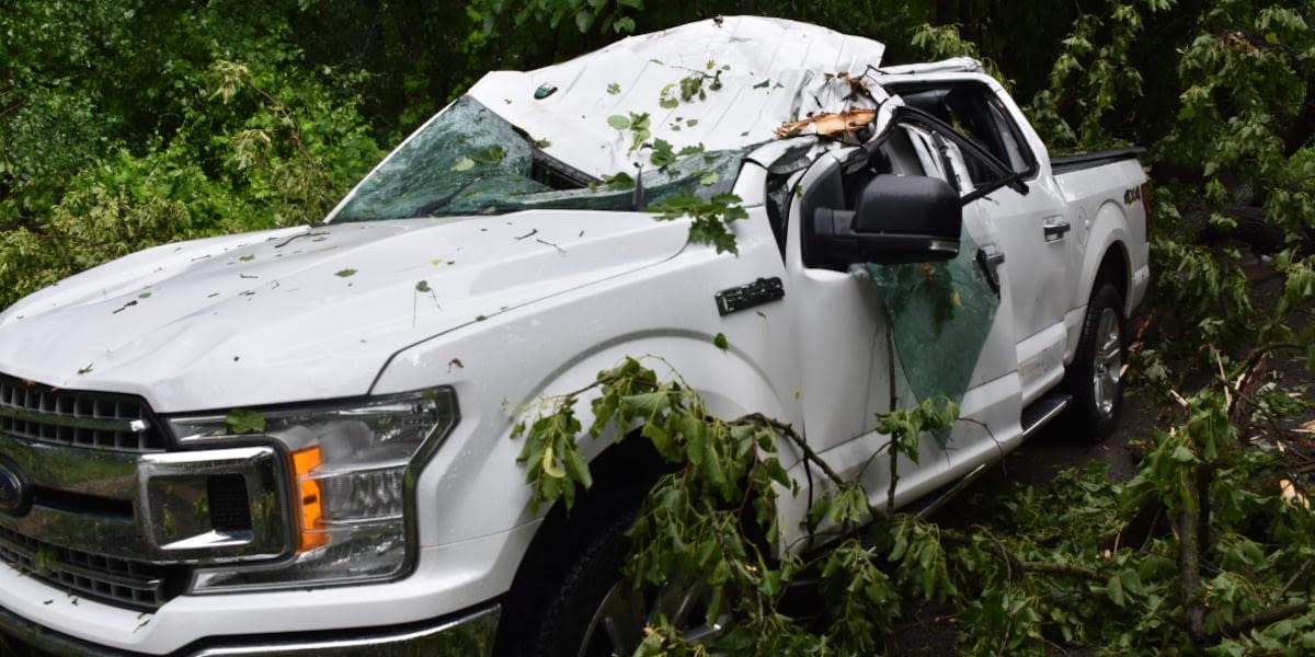2 in critical condition after tree falls on vehicles in Oakland County