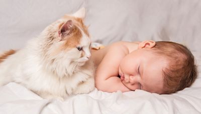 Woman Runs Experiments to Debunk Old Wives' Tale About Cats and Babies