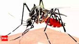 Dengue cases jump 122% in 1 yr, malaria fatalities drop 17% | Mumbai News - Times of India