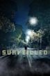 Surveilled