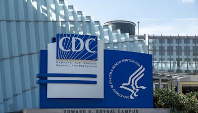 Bird flu update as CDC issues new recommendations
