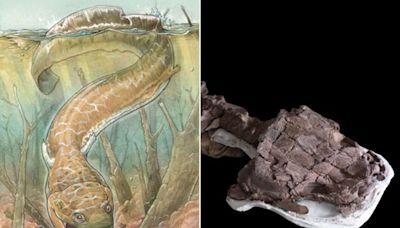 Salamander-Like Predators with Fangs and 'Toilet Seat-Shaped' Heads Existed Before Dinosaurs, Scientists Say