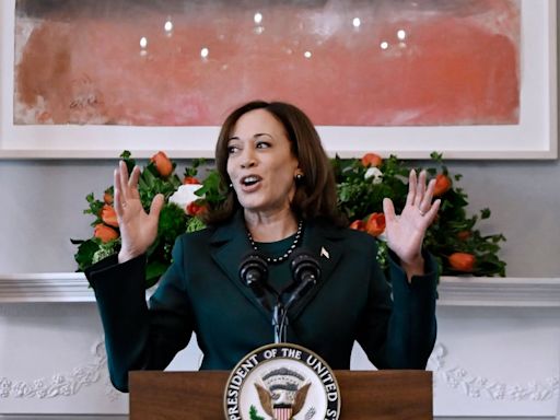 ‘We need the Irish because God gave us the gift of the gab’: Irish-Americans rally behind Kamala Harris