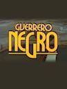 Guerrero Negro