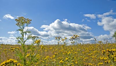 Teach Kids About the Oklahoma Land Run, But Don’t Glorify It