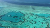 Australia’s Great Barrier Reef should be listed as a world heritage site ‘in danger’, says UN panel