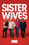 Sister Wives - Season 15