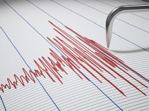 Un fuerte temblor en San Juan se sintió con intensidad en gran parte de nuestra provincia | Sociedad
