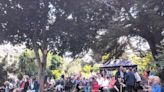Record attendance for Vernon Square Summer Party