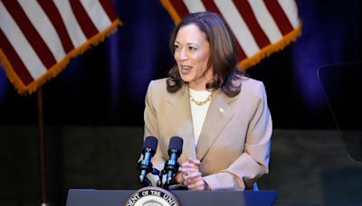Kamala Harris to announce running mate in ‘next six, seven days’, who will it be?