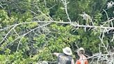 Boaters with rifles seen in Cape Coral canal