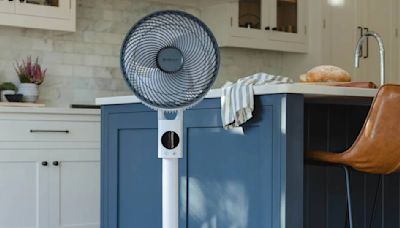 Fans vs Air Circulators: what’s the difference and which is the best for cooling?