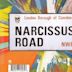 Narcissus Road