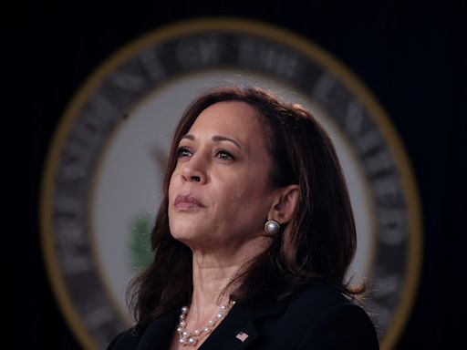 'You think you just fell out of a coconut tree?' Kamala Harris meme resurfaces after Biden drops out