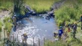 Beavers Can Do Better: Oregon Hand Crew Builds Dams to Attract Beavers for Habitat Health