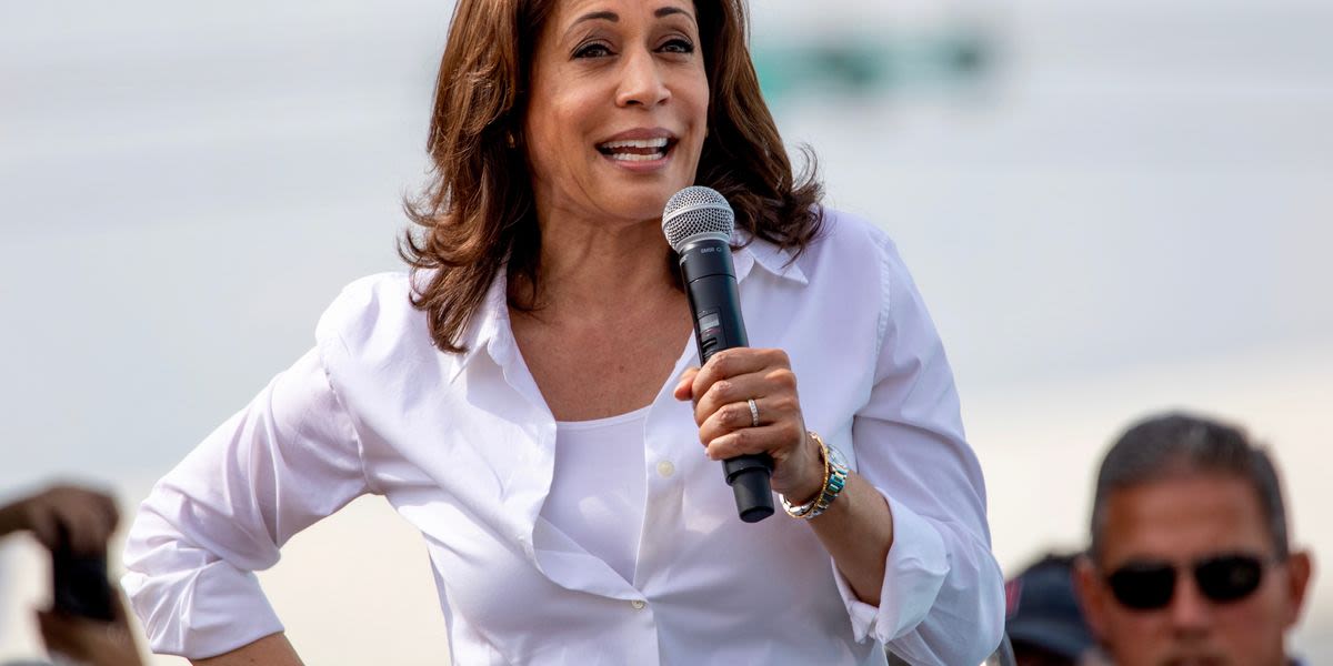 Kamala Harris' 'dark horse' VP candidate has become her 'momentum candidate': analyst