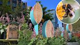 Honey, they’re home! ‘Bee hotels’ coming to 7 NYC plazas to help at-risk pollinators