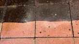 Never clean patios with white vinegar and one other item, claims paving expert