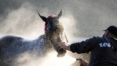 2024 Kentucky Derby: Updated odds, predictions and full field for 150th Run for the Roses