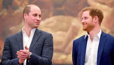 Will Prince Harry and Prince William Reunite at an Upcoming Royal Wedding? What We Know