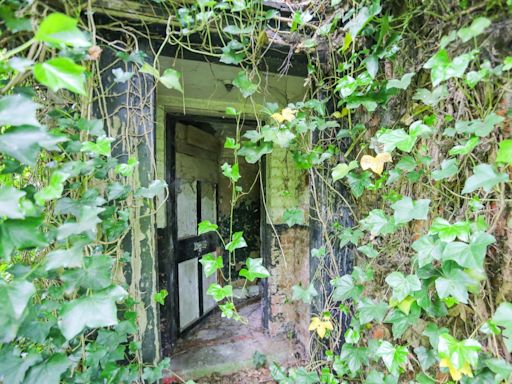 Inside the derelict hidden house so overgrown it can't be seen from passing road