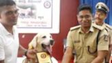 Udupi Police Honour Retiring Labrador ‘Icon’ After 10 Years Of Dedicated Service - News18