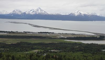 Alce mata a hombre de Alaska que intentaba fotografiar a sus crías recién nacidas