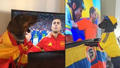 Fieles a sus selecciones: Nino y el perro colombiano que emocionaron en redes con su pasión por el fútbol