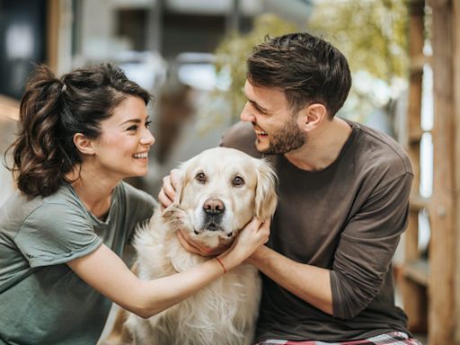 Pup prenups: An overwhelming number of people say they support proactively deciding the fate of their pets should they divorce