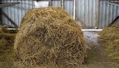 Longford farmer died from 16-foot fall while accessing bales of hay, inquest hears