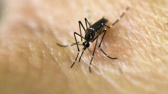 Bird tests positive for West Nile virus in Illinois, state’s health department says