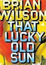 Brian Wilson: That Lucky Old Sun