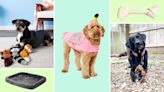 Treat your pooch to National Dog Day deals at Chewy—shop toys, food, accessories and more