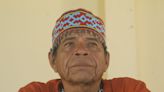 Xamãs temem a extinção da ayahuasca na Amazônia peruana