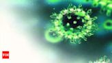 2 die due to Chandipura virus in Gujarat's Aravalli; 1 hospitalized | Ahmedabad News - Times of India