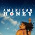 American Honey