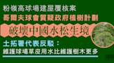 粉嶺高球場覆核案｜球會質疑政府植樹計劃降水位 土拓署：球會維護草皮更耗水