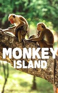 Monkey Island