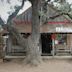 Luckenbach, Texas