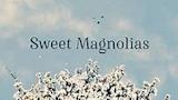 Sweet Magnolias - Wikipedia