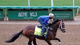 Catching Freedom Confirmed for Preakness by Cox