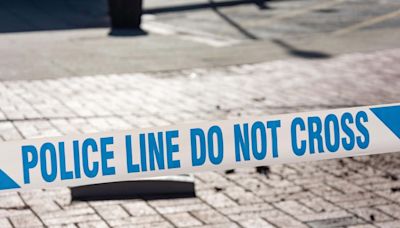Teenager arrested on suspicion of murder after man dies in house fire in Dagenham