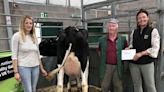 New record set for year as champion heifer sells at Shrewsbury dairy show